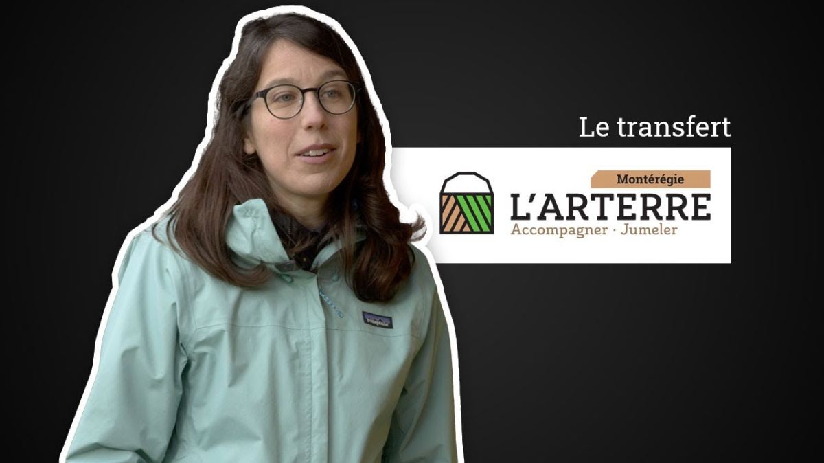 Embedded thumbnail for L'Arterre - Transferts
